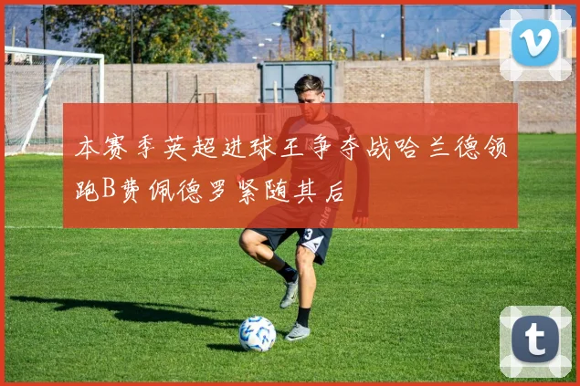本赛季英超进球王争夺战哈兰德领跑B费佩德罗紧随其后